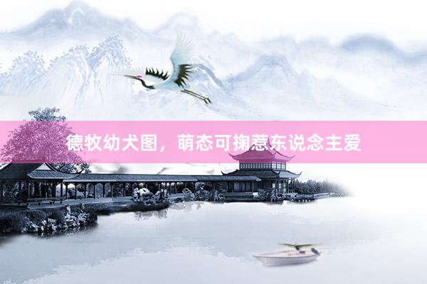 德牧幼犬图，萌态可掬惹东说念主爱
