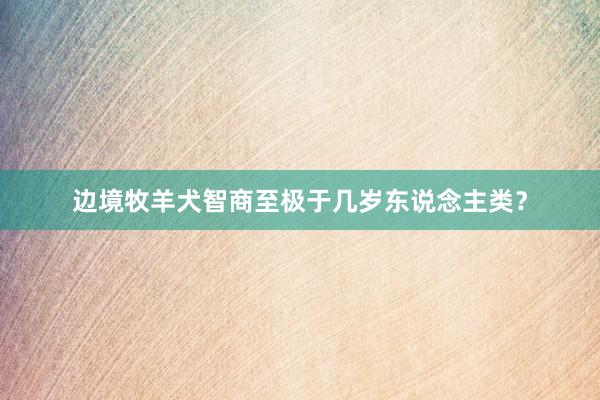 边境牧羊犬智商至极于几岁东说念主类？