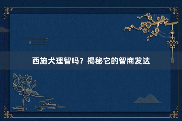 西施犬理智吗？揭秘它的智商发达